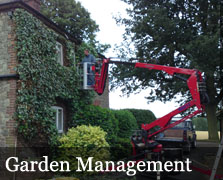 Garden Management